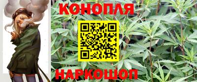 индика Коммунар