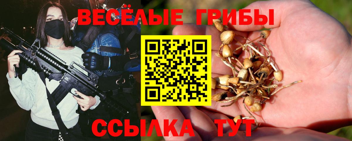 Галлюциногенные грибы прущие грибы Краснознаменск