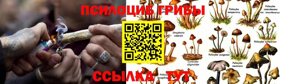 Галлюциногенные грибы ЛСД  Вход с VPN  Краснознаменск  Галлюциногенные грибы мицелий 